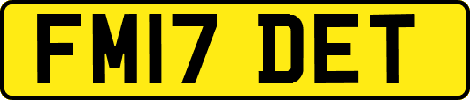FM17DET