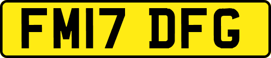 FM17DFG