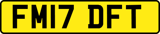 FM17DFT