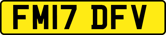 FM17DFV