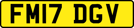 FM17DGV