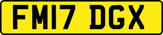 FM17DGX