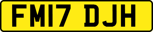FM17DJH