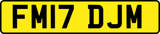 FM17DJM