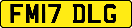 FM17DLG