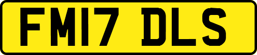 FM17DLS