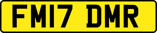 FM17DMR