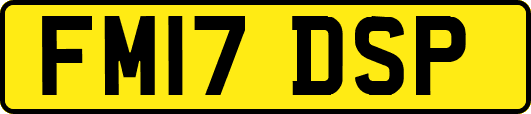 FM17DSP