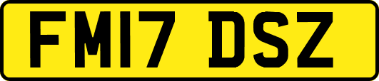 FM17DSZ