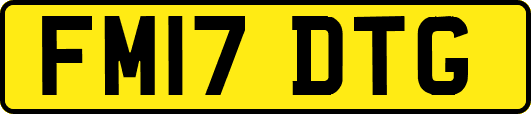 FM17DTG