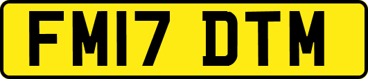 FM17DTM