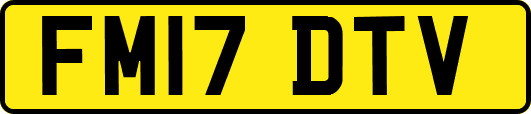 FM17DTV