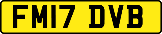 FM17DVB