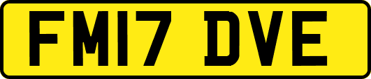 FM17DVE