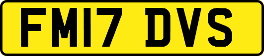 FM17DVS