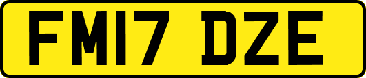 FM17DZE