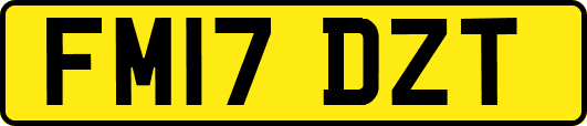 FM17DZT
