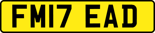 FM17EAD