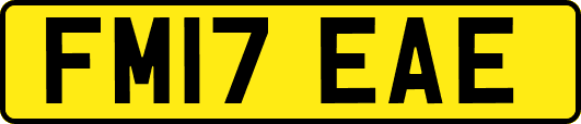 FM17EAE