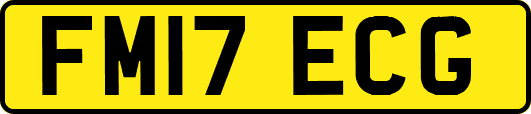 FM17ECG