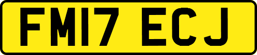 FM17ECJ