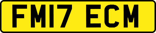 FM17ECM
