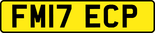 FM17ECP
