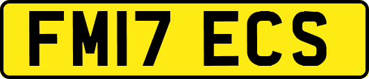 FM17ECS