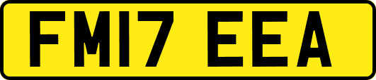 FM17EEA
