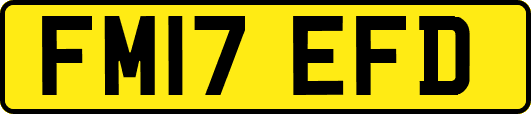 FM17EFD