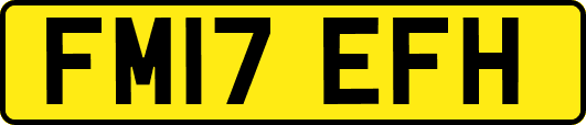 FM17EFH