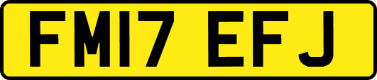 FM17EFJ