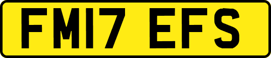 FM17EFS