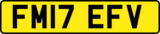FM17EFV