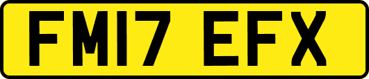 FM17EFX