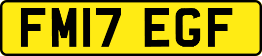 FM17EGF