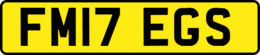FM17EGS