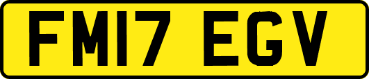 FM17EGV