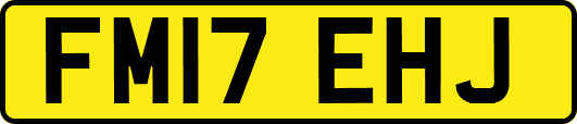 FM17EHJ