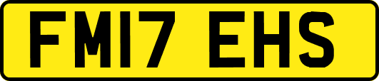 FM17EHS