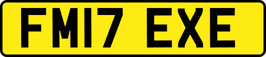 FM17EXE