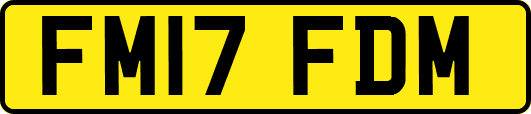 FM17FDM