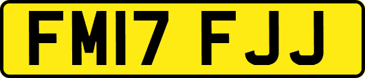 FM17FJJ