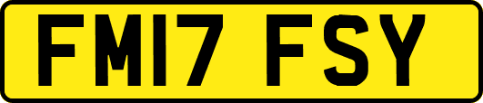 FM17FSY