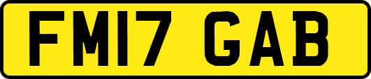 FM17GAB