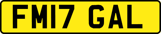 FM17GAL