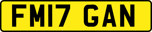 FM17GAN