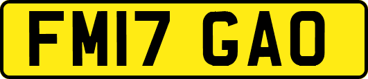 FM17GAO