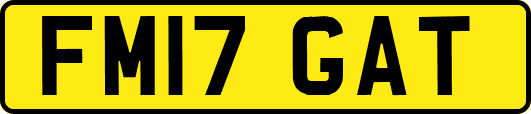 FM17GAT