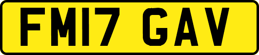 FM17GAV